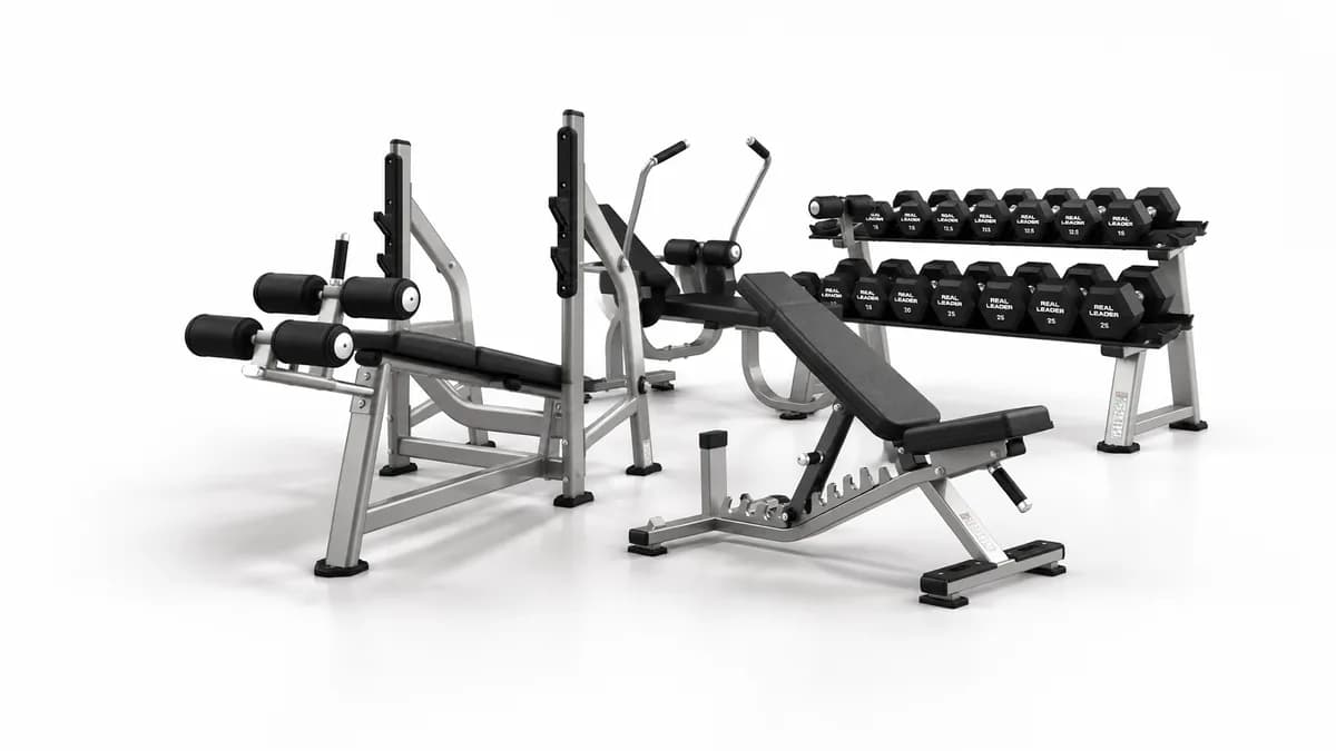 Free Weights equipment in a commercial gym