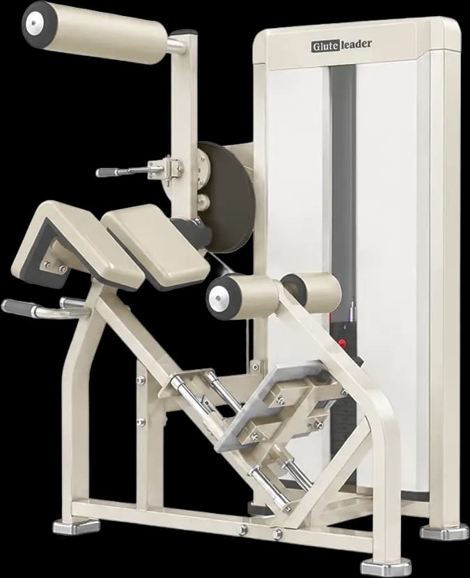 Back Extension — RealleaderUSA Indonesia