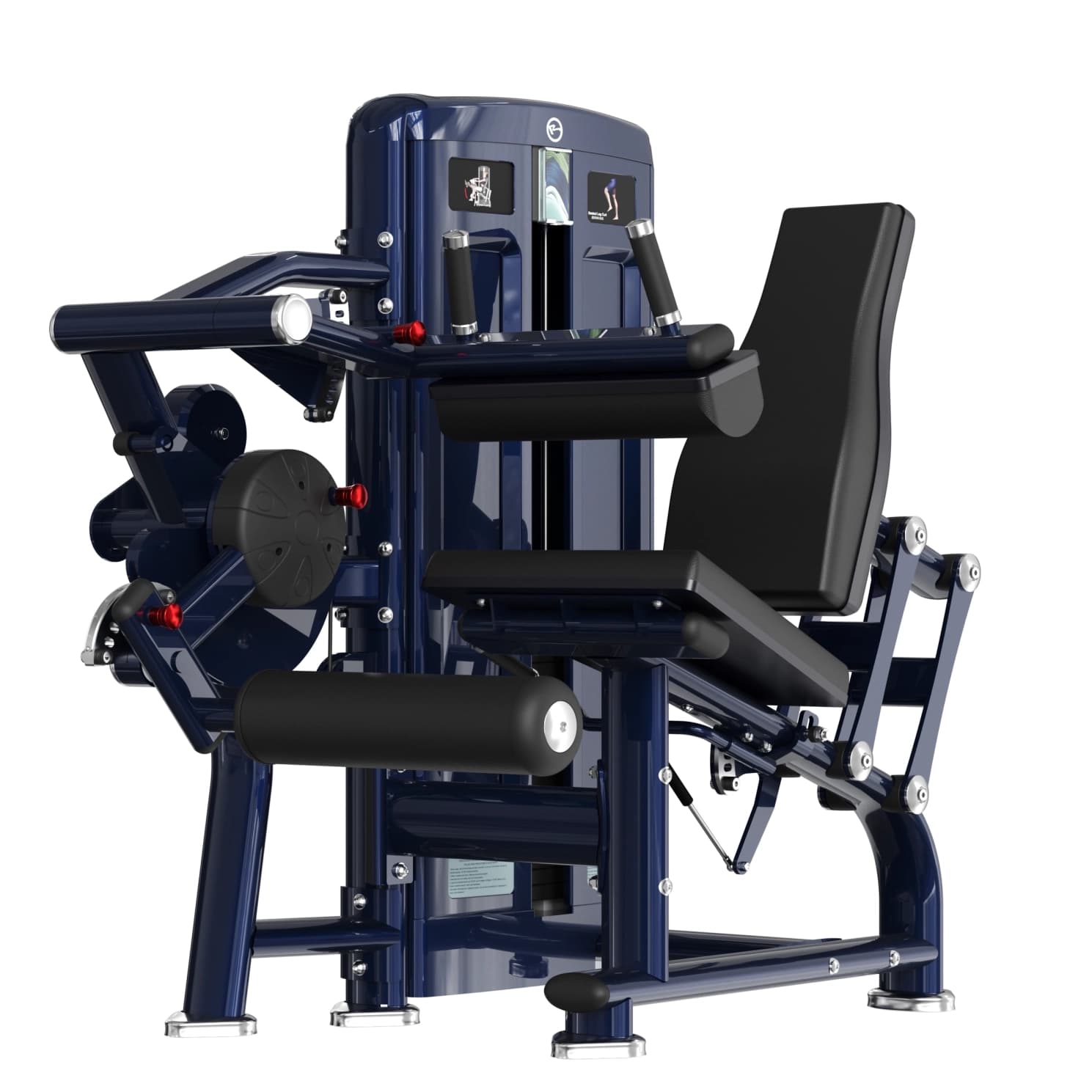 Seated Leg Curl — RealleaderUSA Indonesia